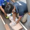 Perkuat Aspek Keselamatan, KAI Services Bekali Frontliner Keterampilan Tanggap Darurat